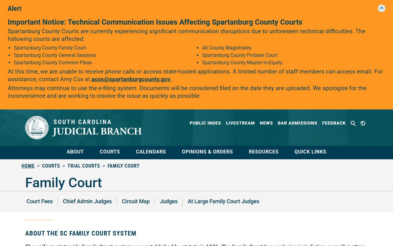South Carolina Family Court court type page